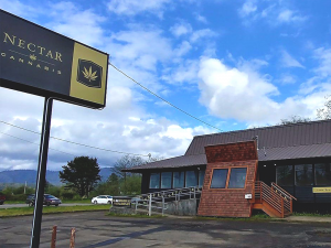 Origins Port Angeles Website