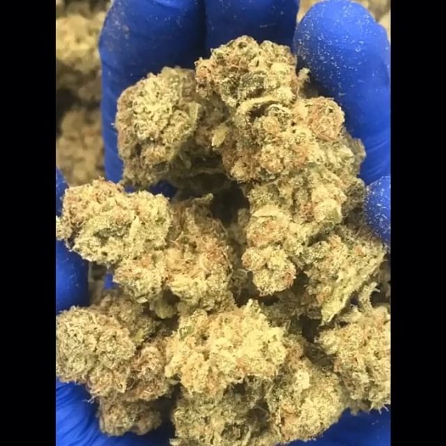 Sacred Seed Medical Dispensary Website