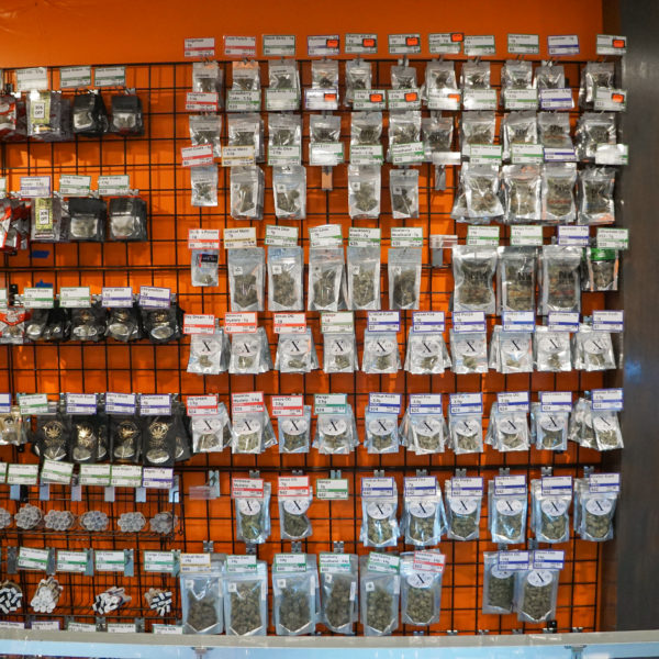 A Greener Today - Shoreline Website