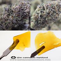 The Cannabis Method Website
