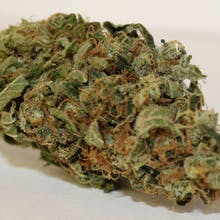 Pine Street Cannabis Company Website