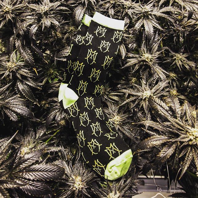 Medicine Man - Aurora Website