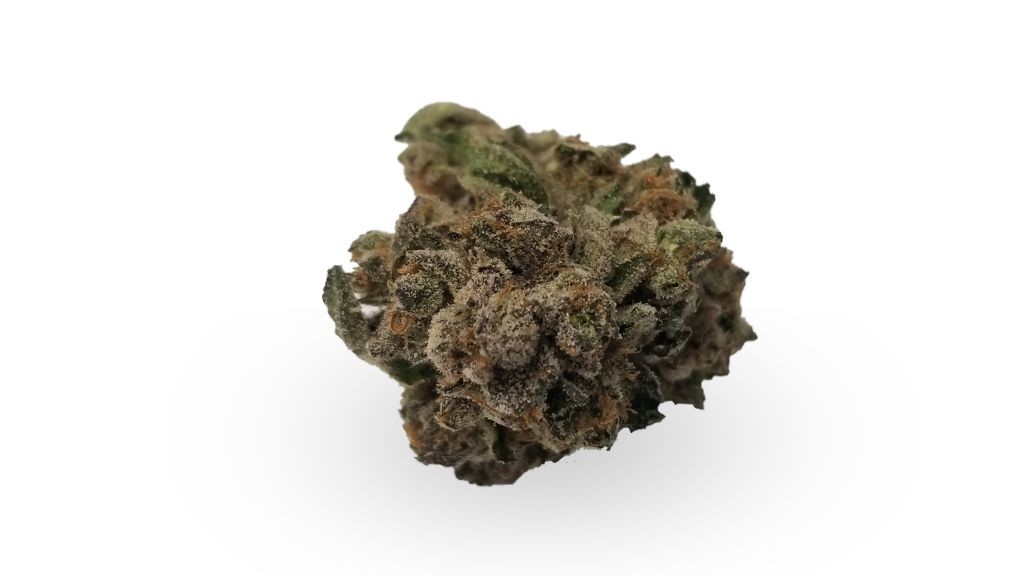 Nature's Medicines - Fall River Website