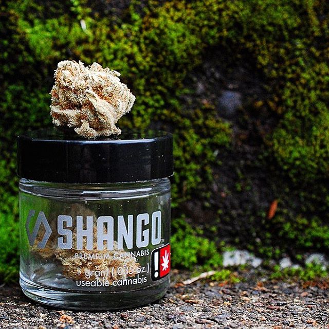 Shango Win Sivers "Airport" Website