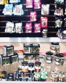 Starbuds - Kirkland Website