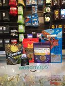 Starbuds - Kirkland Website