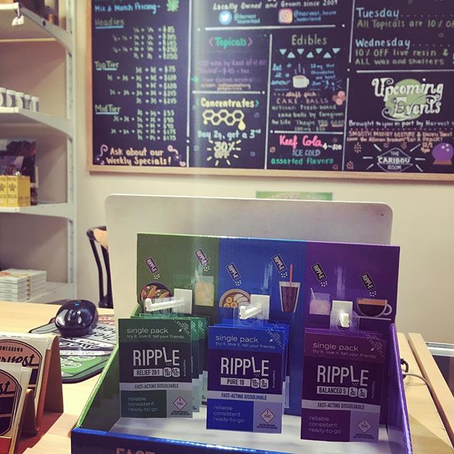 Harvest House Nederland Website