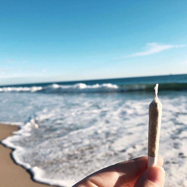 From The Earth - Santa Ana Website