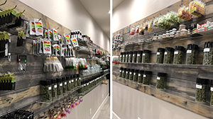 Tucson SAINTS Website