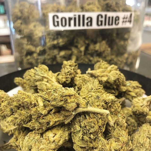 Highway 420 Seaside Website