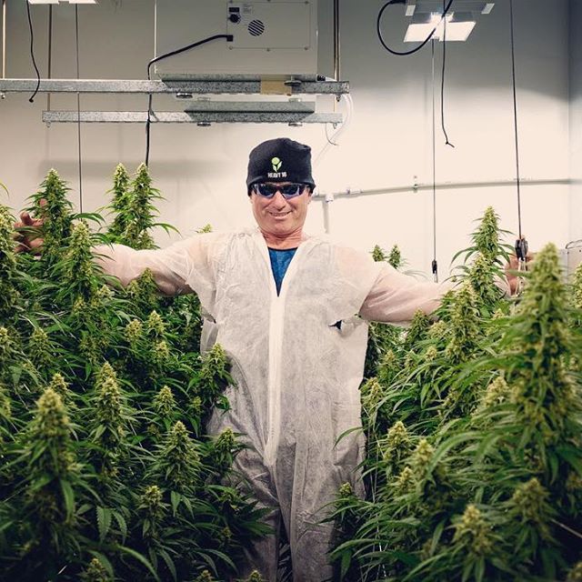 Cinder - Downtown Spokane Website