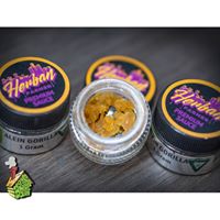 HOD Medical Marijuana Certification Center Website