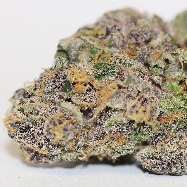 Grass Monkey Cannabis Company Website