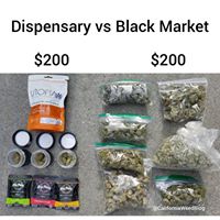 California WeedBlog Website