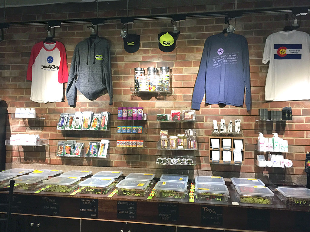 Buddy Boy Walnut - Rino Website