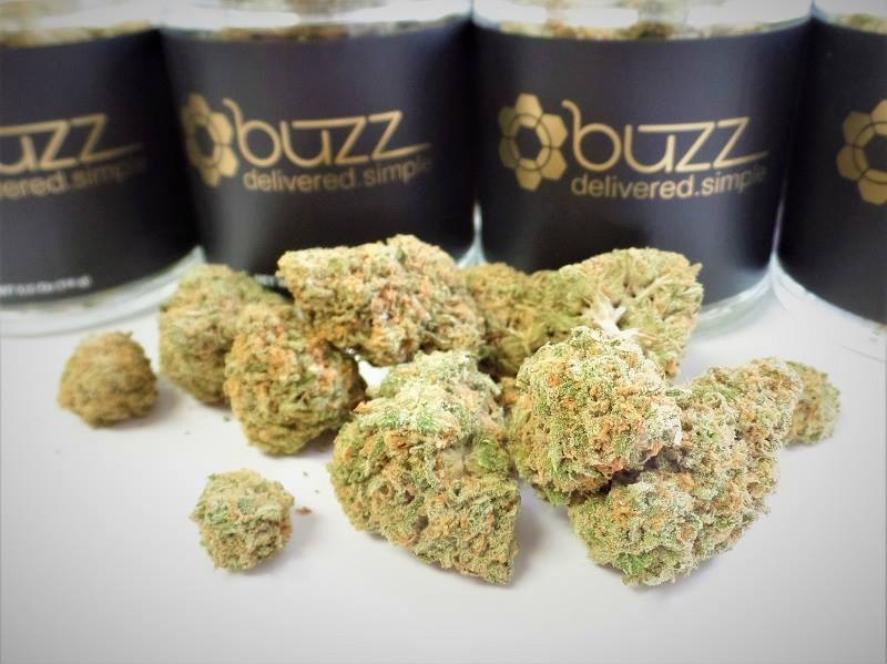 Buzz Delivery Website