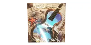 Always Greener Downtown - Redmond Website