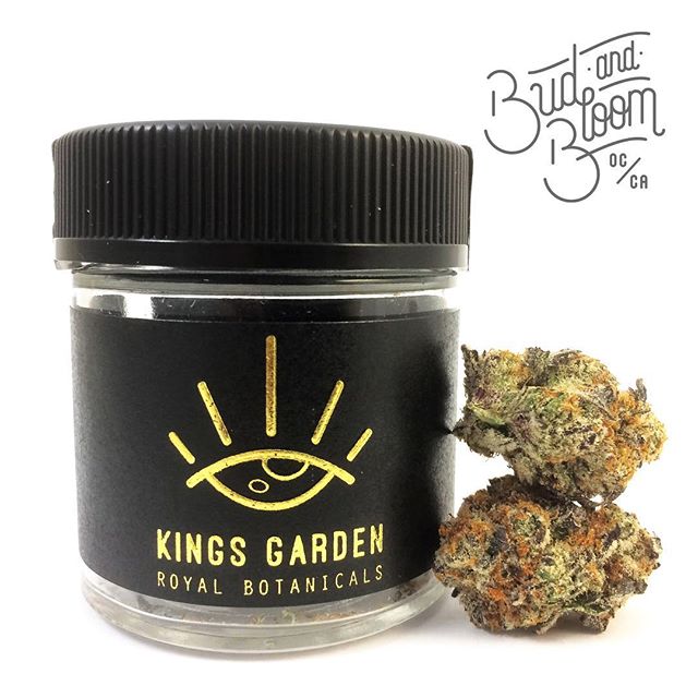 Bud and Bloom - Santa Ana Website