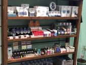 Korea Town Collective Website