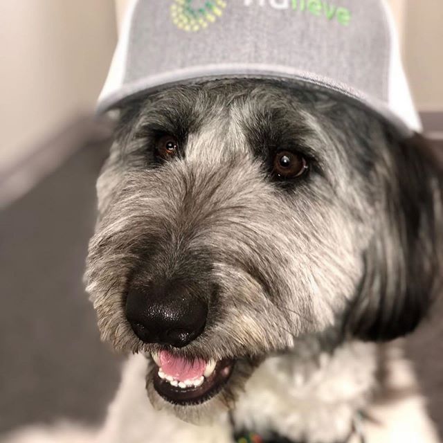 Trulieve - Boynton Beach Website