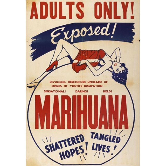 Levels - Denver Website