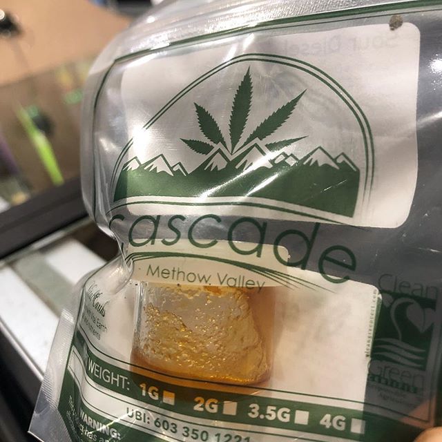 Elite - Lacey Website