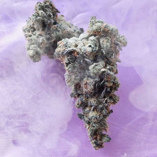 Canopy Health and Wellness Website