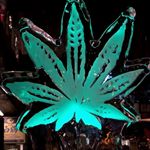 Wolf Pac Cannabis - Federal Blvd Website