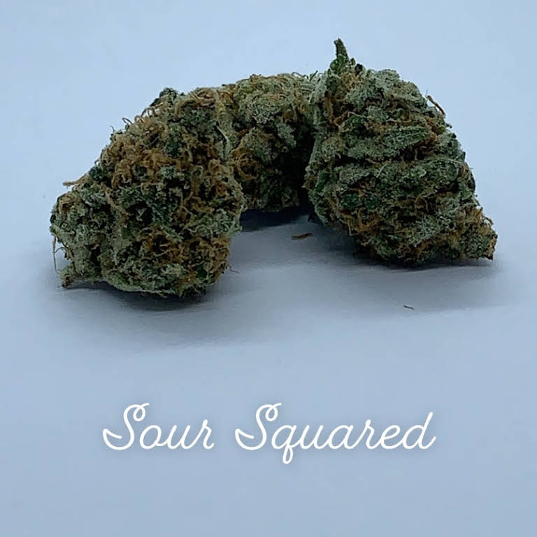 Holistic Alternatives Website