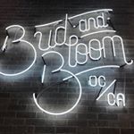 Bud and Bloom - Santa Ana Website