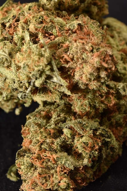 Pure Medical 2 Website