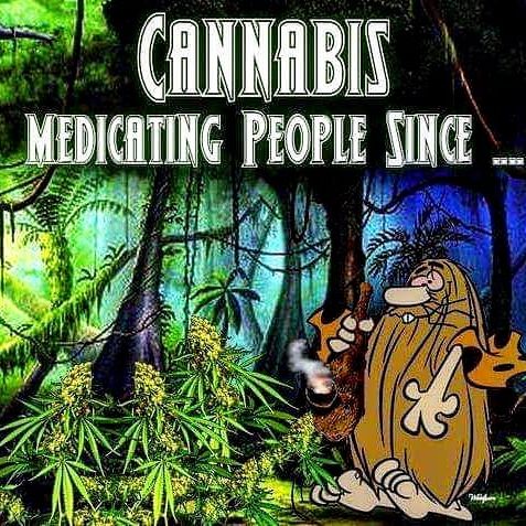 Cannabis 21 - Recreational Website