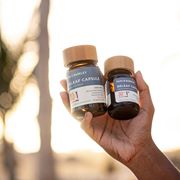 Papa and Barkley Website