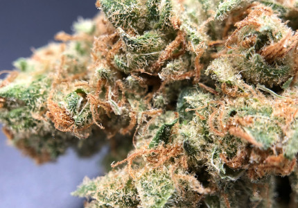 PurLife - Montgomery Website