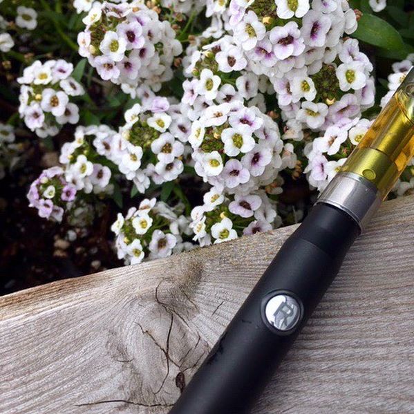 Treestar Botanicals Website