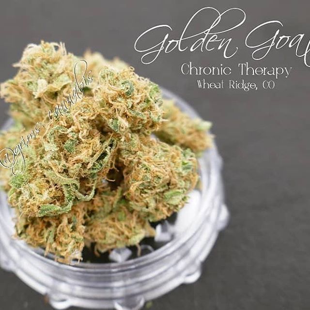 Chronic Therapy - Cortez Website