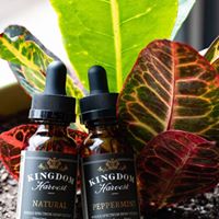 Carolina Hemp Company Website