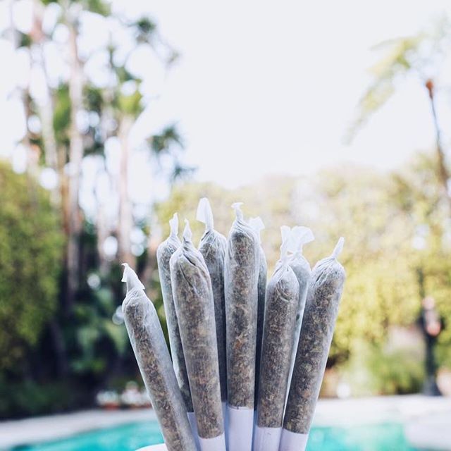 From The Earth - Santa Ana Website