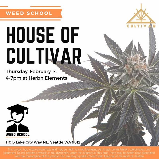 Herbn Elements – Lake City, Seattle Website