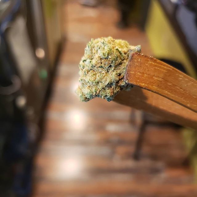 Market Street Wellness Website