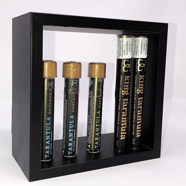 Dixon Wellness Website