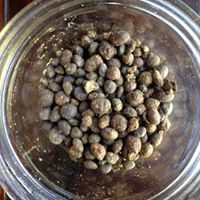 A Friend Indeed Website