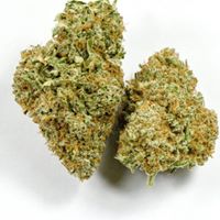 The CBDispensary Website