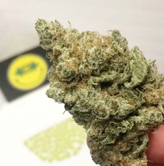 Giving Greens Website