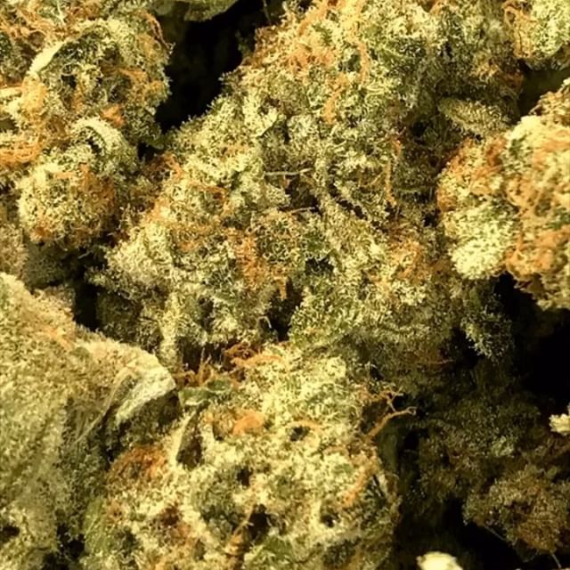 Sacred Seed Medical Dispensary Website