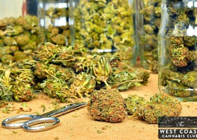West Coast Cannabis Club - Palm Desert Website