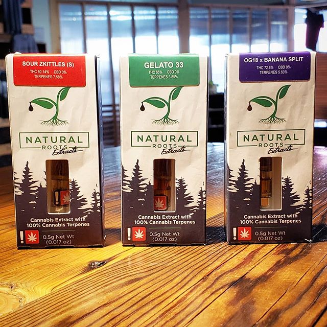 Five Zero Trees Cannon Beach Website