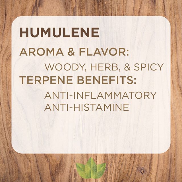 Zen Leaf - Jessup Website