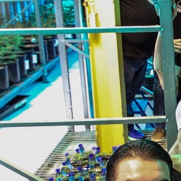 Medicine Man - Aurora Website