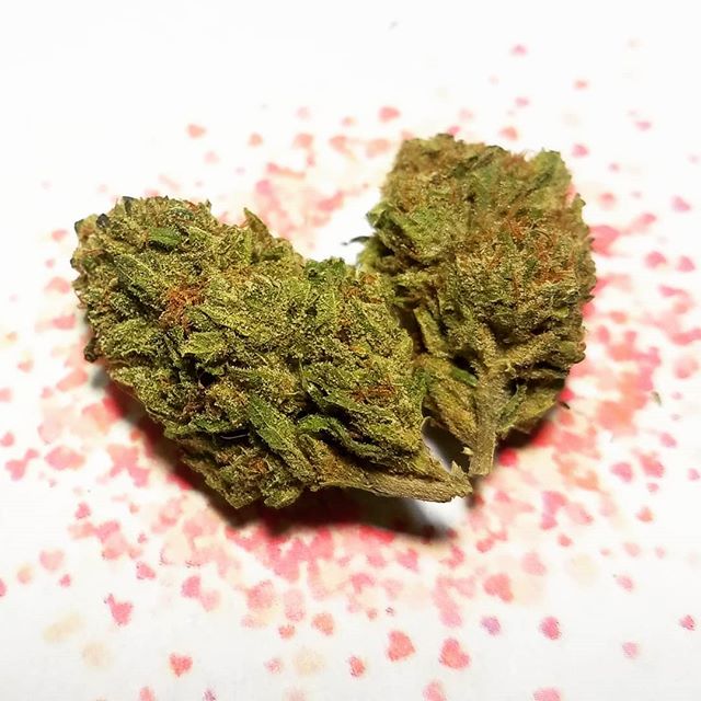 The Agrestic North Website